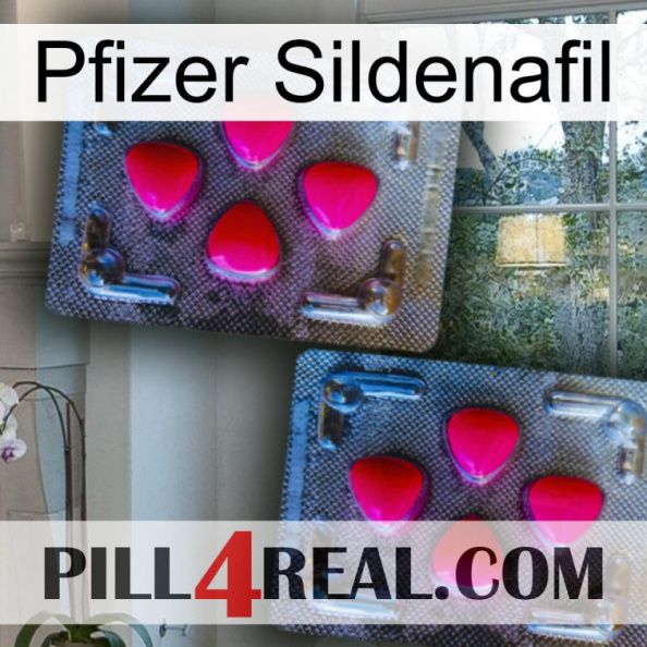 Pfizer Sildenafil 14.jpg